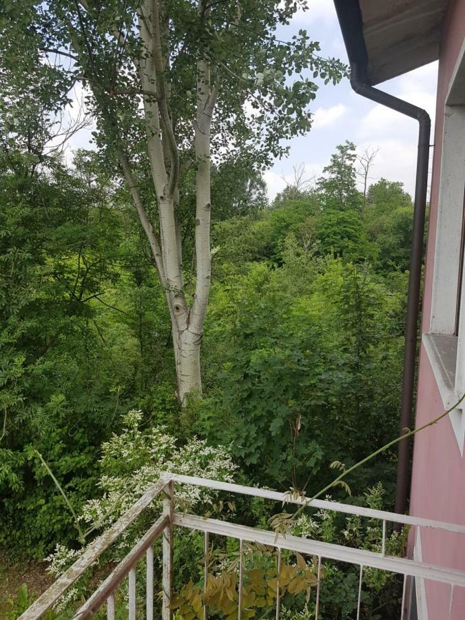 Le Case Nel Bosco Vanzago Bagian luar foto