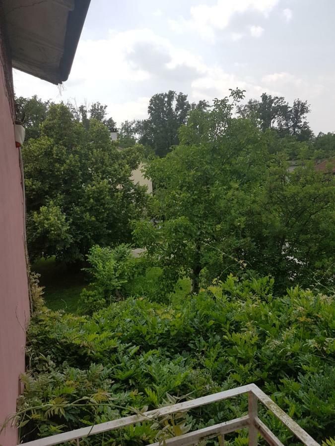 Le Case Nel Bosco Vanzago Bagian luar foto